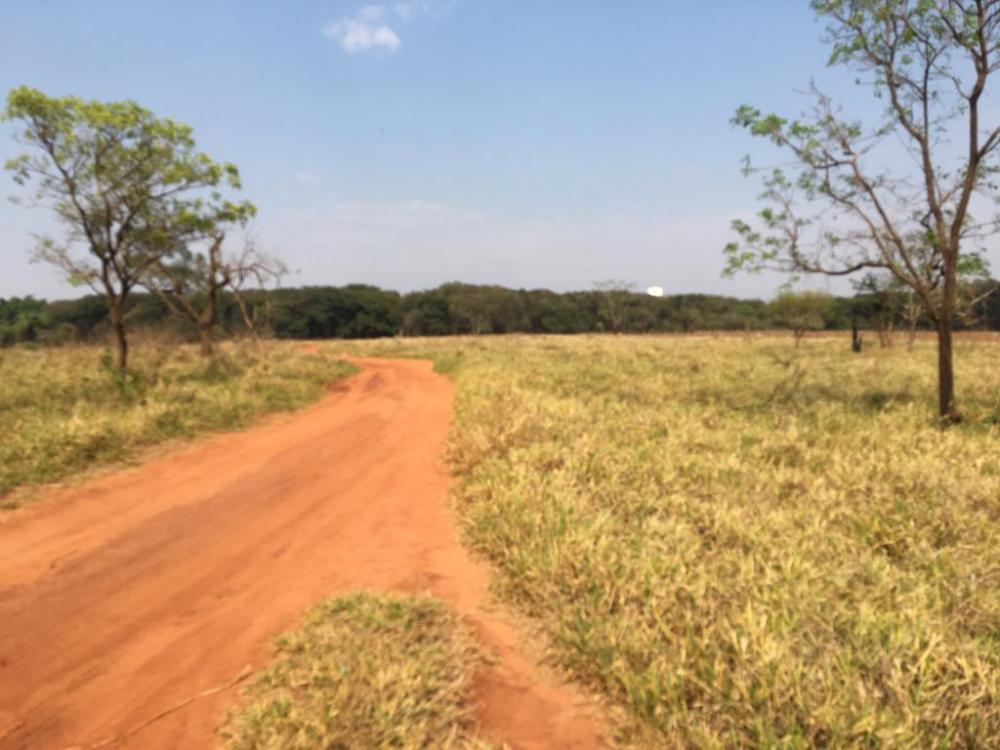 Comprar Terreno / Área em São José do Rio Preto R$ 3.000.000,00 - Foto 2