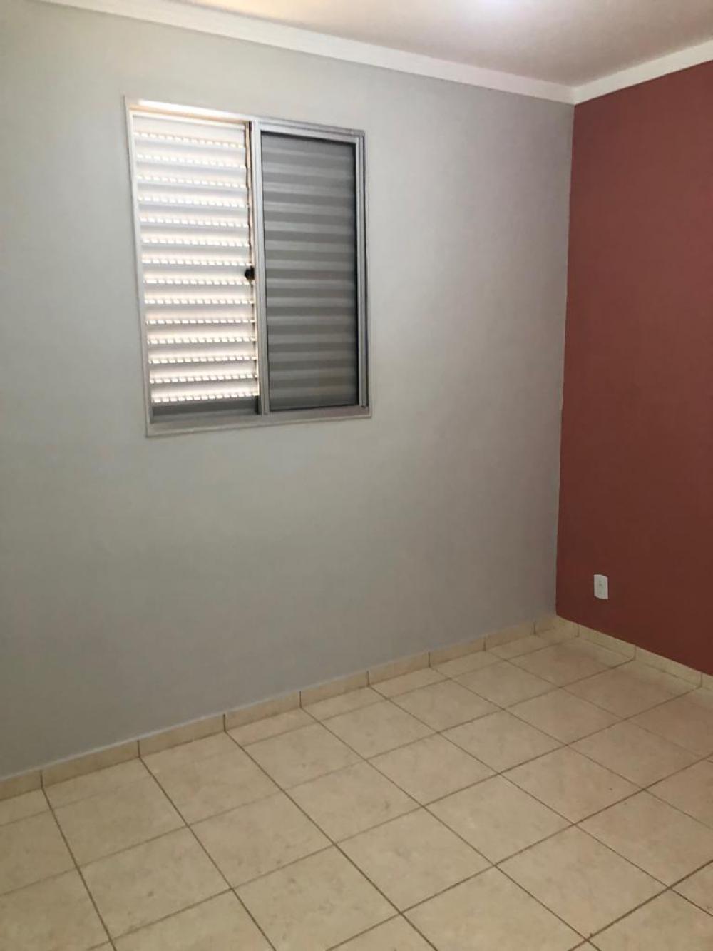 Alugar Apartamento / Padrão em São José do Rio Preto apenas R$ 650,00 - Foto 7