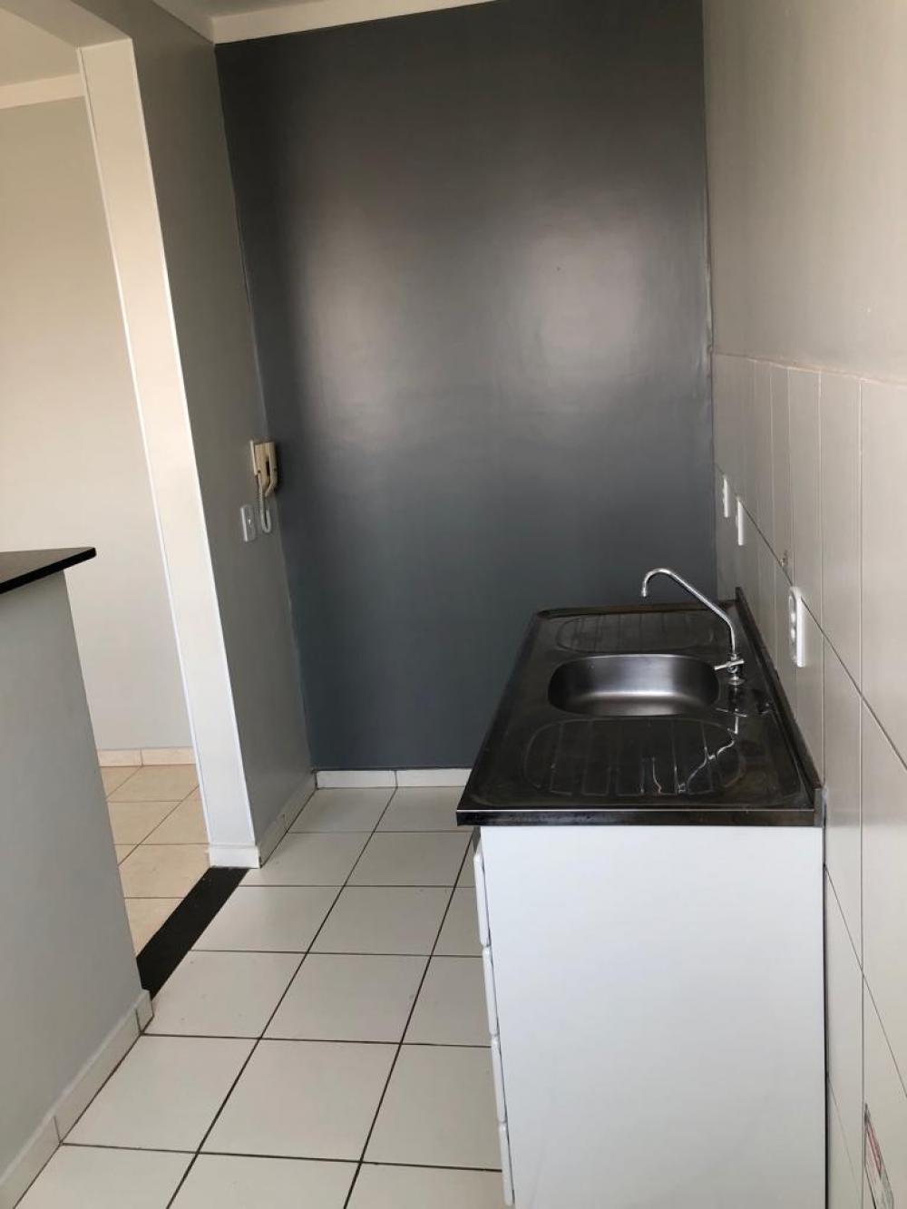 Alugar Apartamento / Padrão em São José do Rio Preto apenas R$ 650,00 - Foto 6