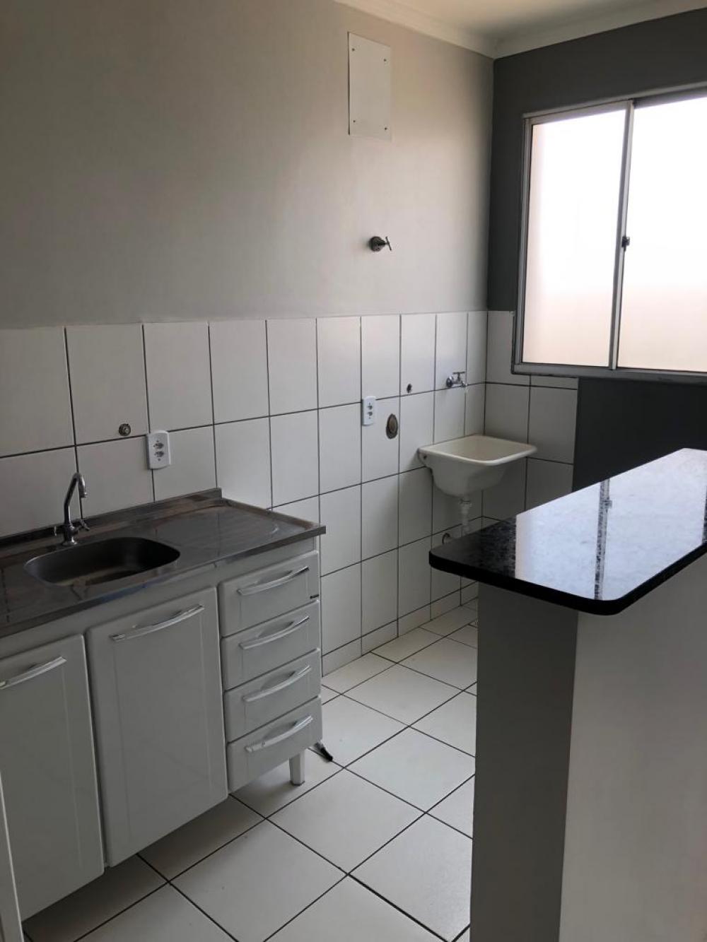 Alugar Apartamento / Padrão em São José do Rio Preto R$ 650,00 - Foto 4