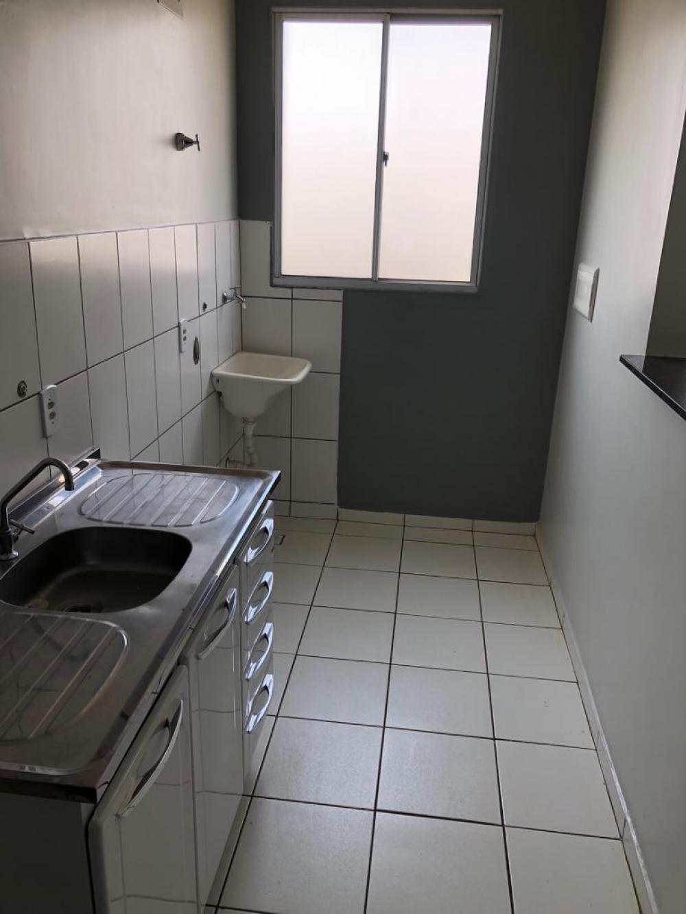 Alugar Apartamento / Padrão em São José do Rio Preto R$ 650,00 - Foto 5