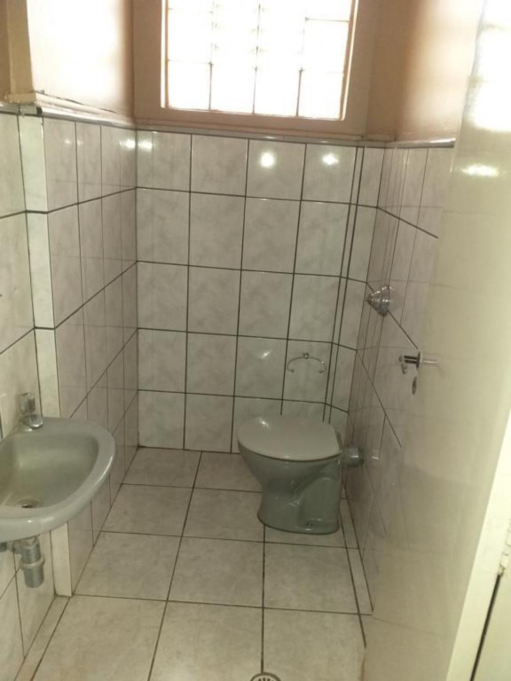 Alugar Comercial / Sala em São José do Rio Preto R$ 550,00 - Foto 5