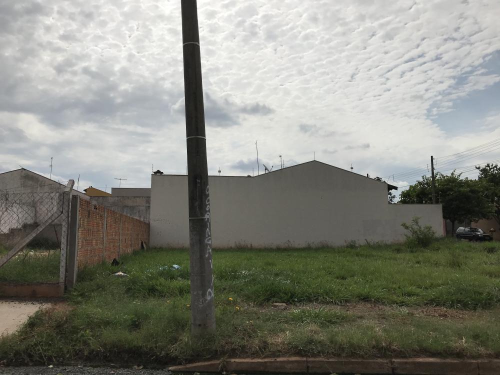 Comprar Terreno / Padrão em São José do Rio Preto R$ 160.000,00 - Foto 6