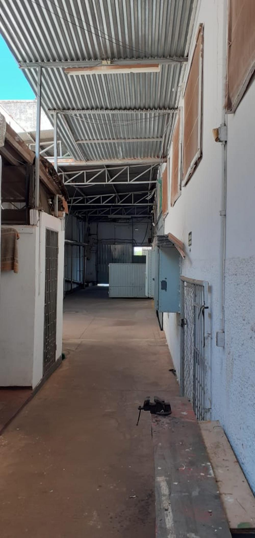 Alugar Comercial / Salão em São José do Rio Preto R$ 9.500,00 - Foto 12