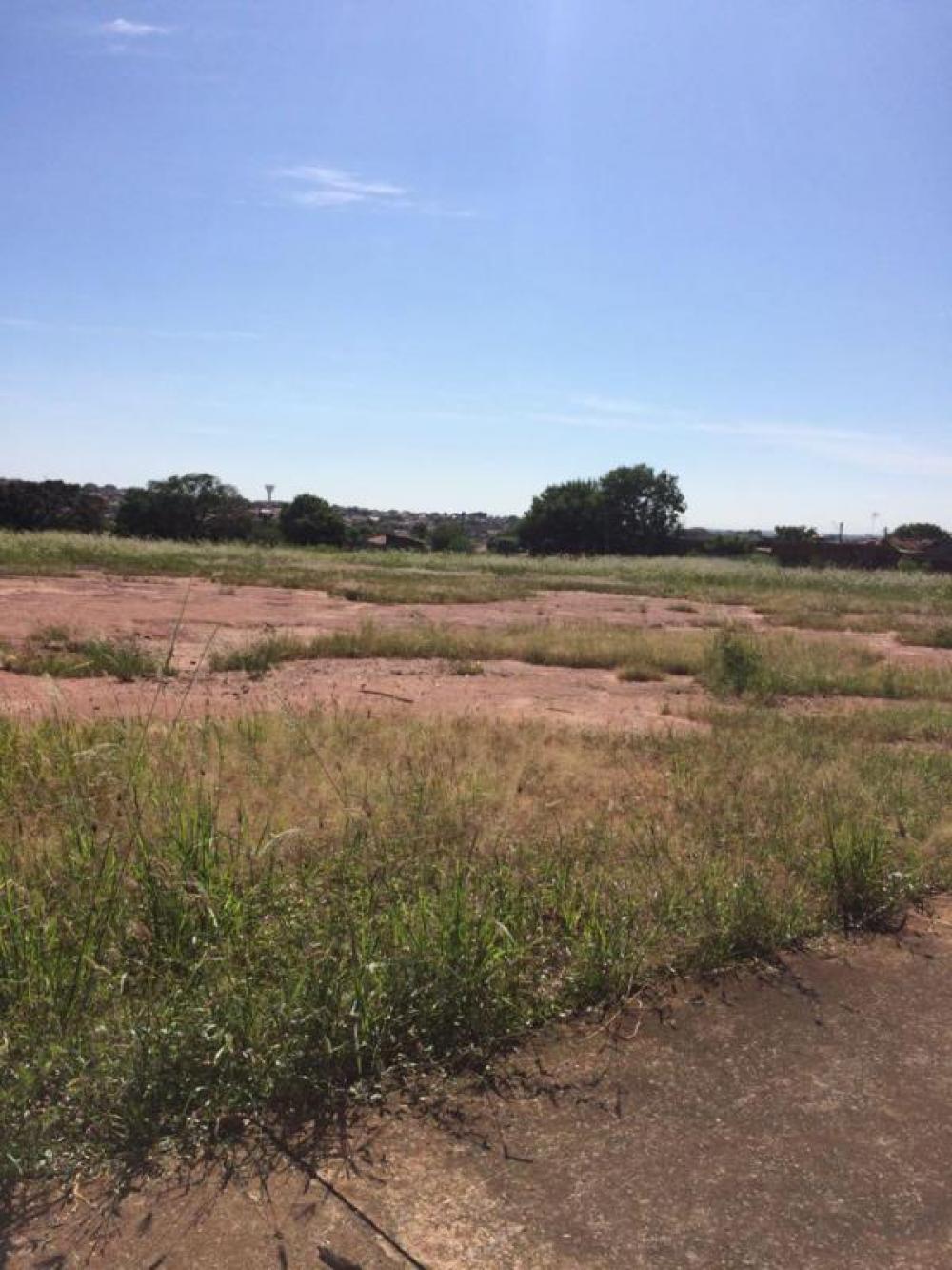 Comprar Terreno / Área em São José do Rio Preto R$ 3.000.000,00 - Foto 1