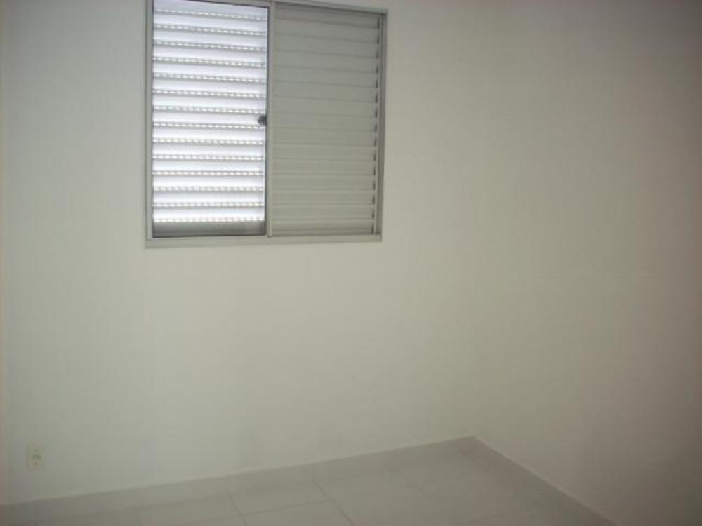 Alugar Apartamento / Padrão em São José do Rio Preto apenas R$ 800,00 - Foto 7