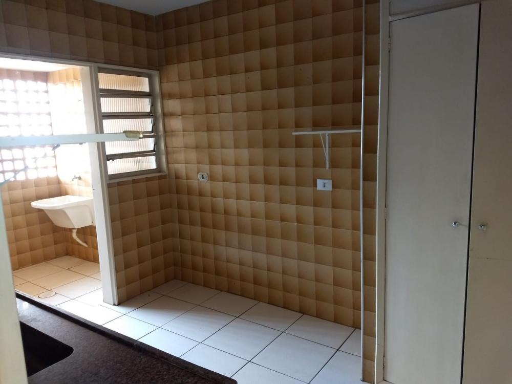 Alugar Apartamento / Padrão em São José do Rio Preto R$ 800,00 - Foto 4