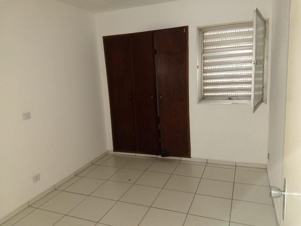 Alugar Apartamento / Padrão em São José do Rio Preto apenas R$ 800,00 - Foto 5