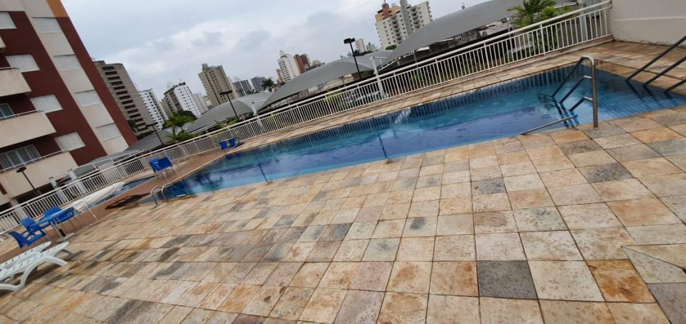 Alugar Apartamento / Padrão em São José do Rio Preto R$ 1.600,00 - Foto 13