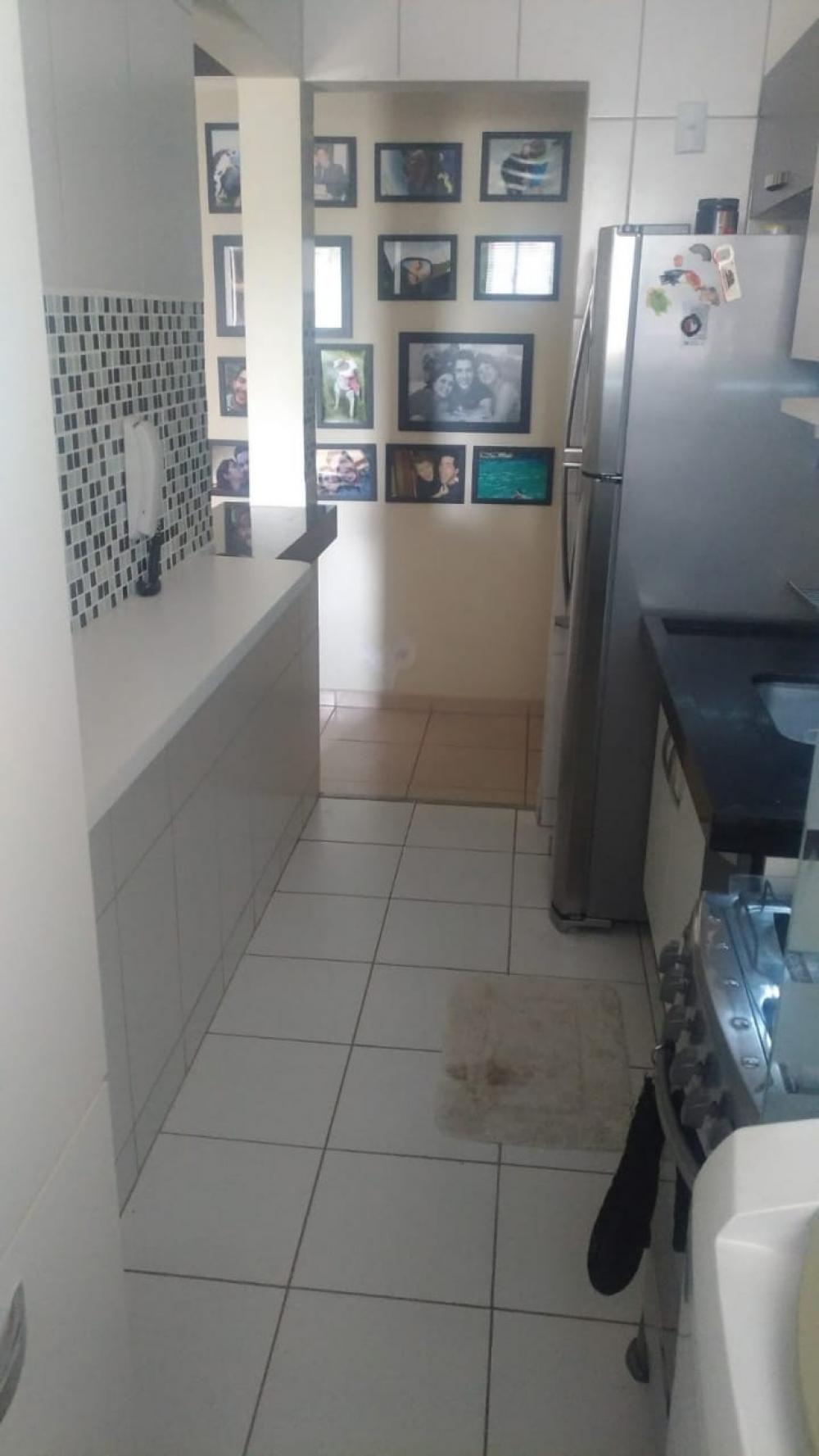 Alugar Apartamento / Padrão em São José do Rio Preto apenas R$ 1.000,00 - Foto 3