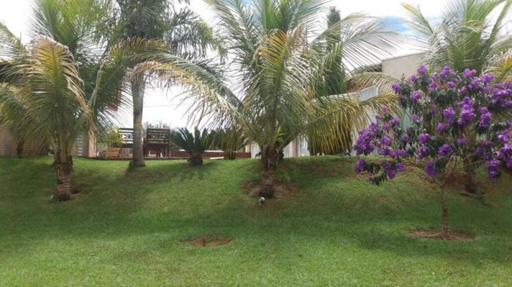 Alugar Rural / Rancho em Fronteira R$ 3.500,00 - Foto 3