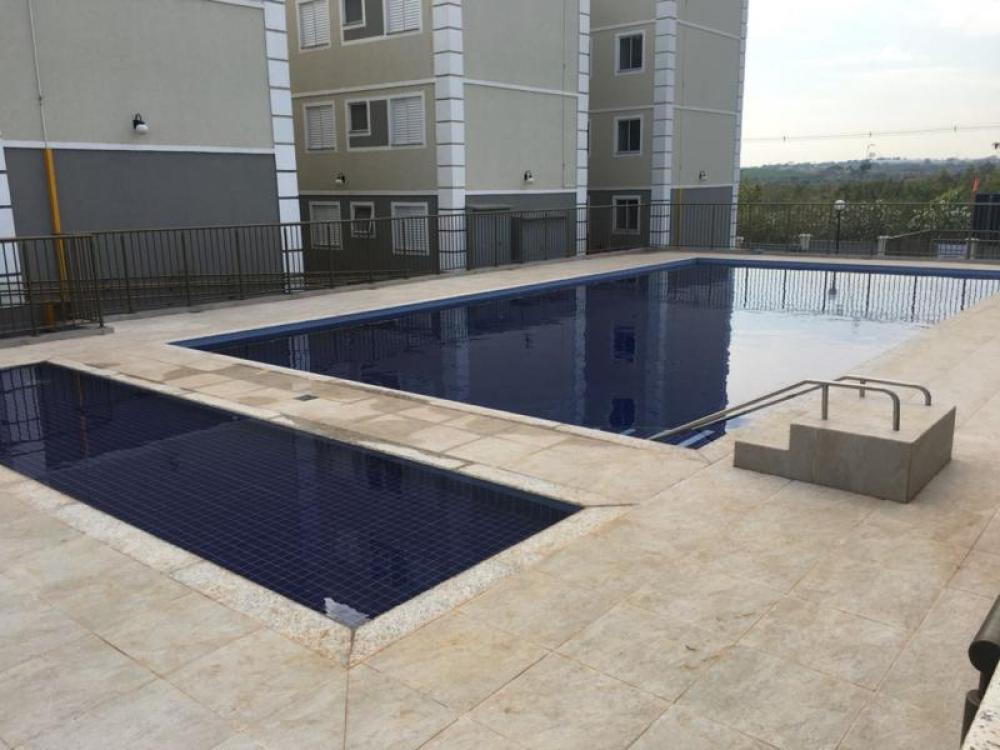 Alugar Apartamento / Padrão em São José do Rio Preto apenas R$ 950,00 - Foto 1