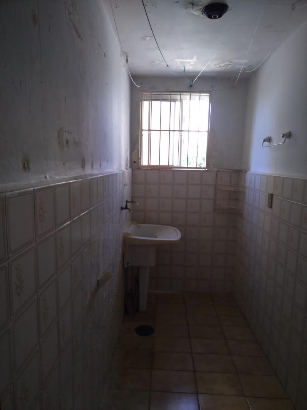 Alugar Apartamento / Padrão em São José do Rio Preto R$ 800,00 - Foto 12