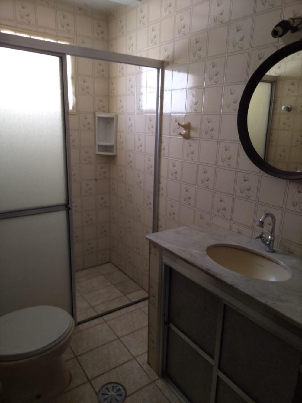 Alugar Apartamento / Padrão em São José do Rio Preto R$ 800,00 - Foto 16