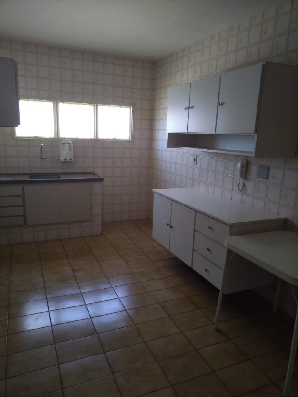 Alugar Apartamento / Padrão em São José do Rio Preto R$ 800,00 - Foto 17