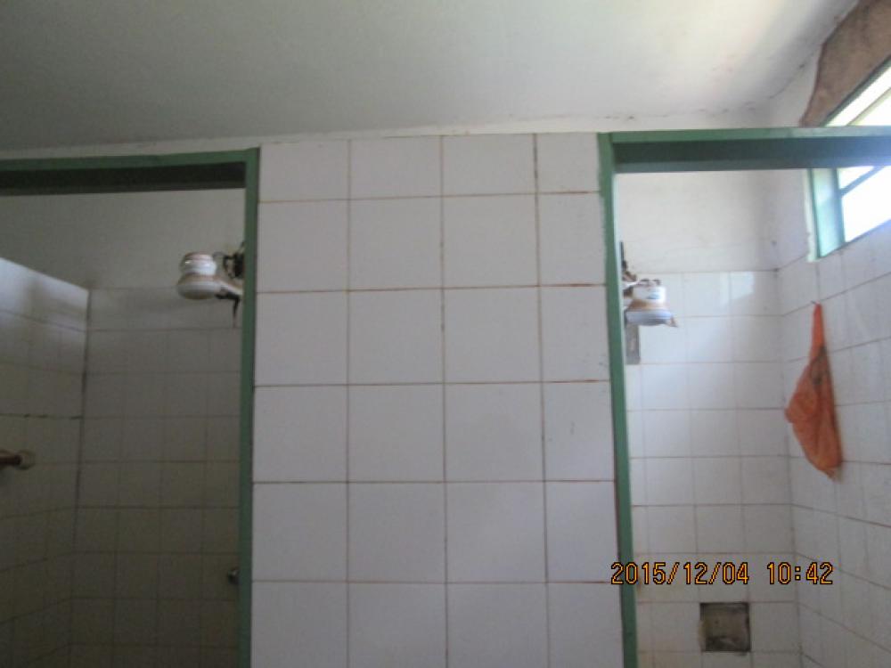 Alugar Comercial / Salão em Bady Bassitt R$ 7.500,00 - Foto 13