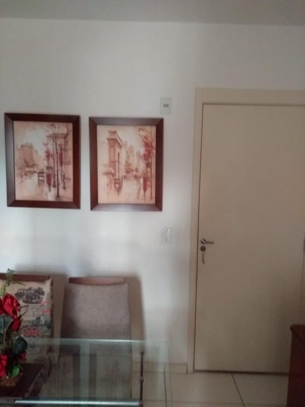 Alugar Apartamento / Padrão em São José do Rio Preto apenas R$ 1.250,00 - Foto 22