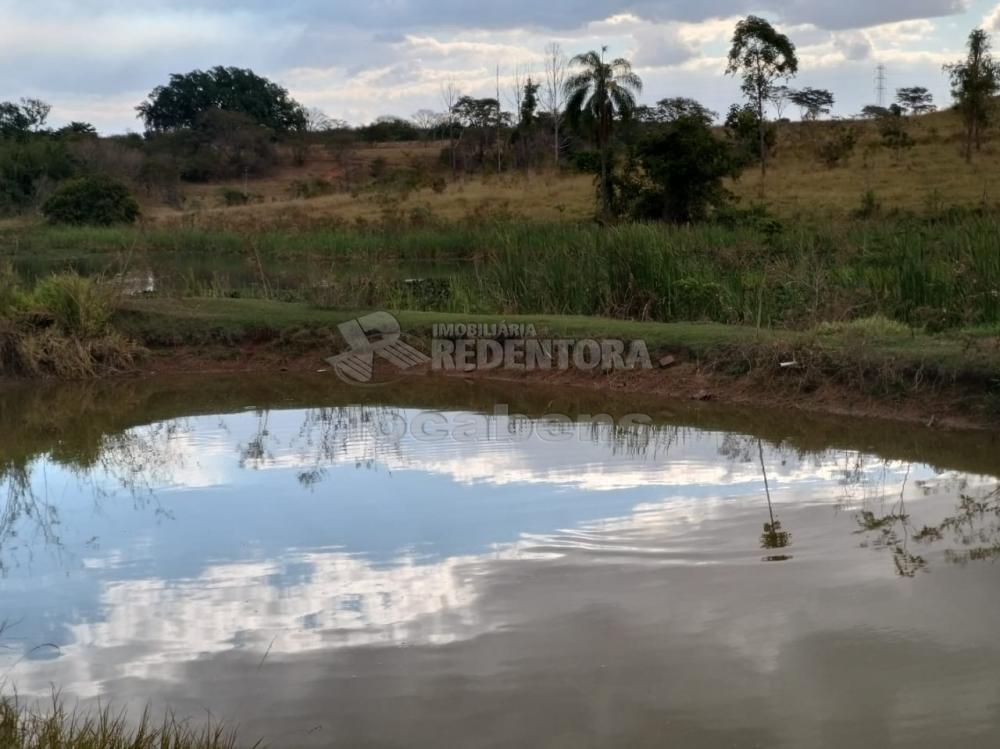 Comprar Terreno / Padrão em São José do Rio Preto apenas R$ 430.000,00 - Foto 1