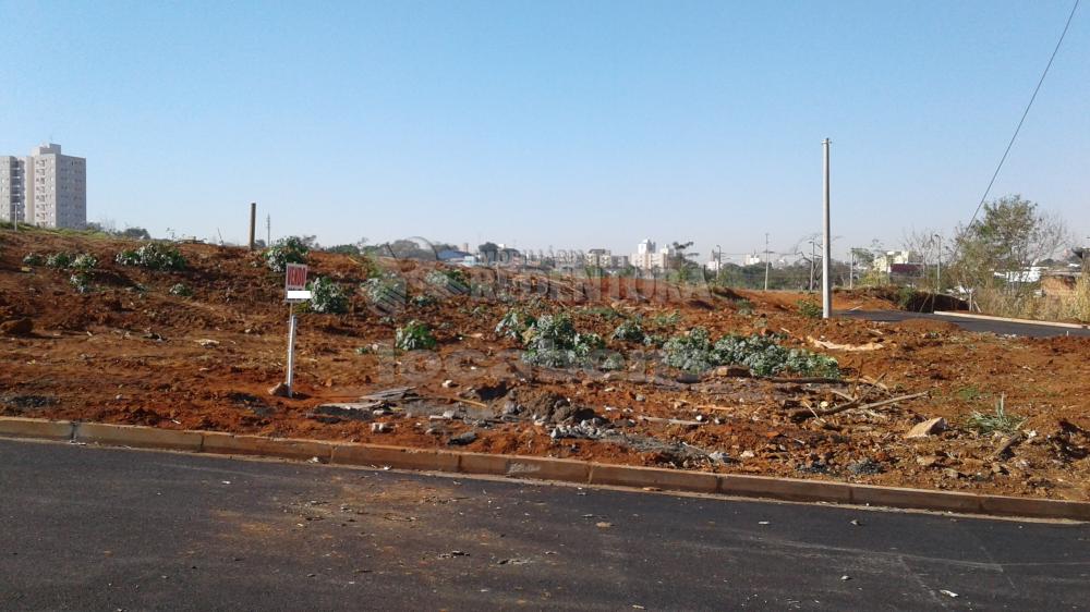 Comprar Terreno / Padrão em São José do Rio Preto R$ 160.000,00 - Foto 4