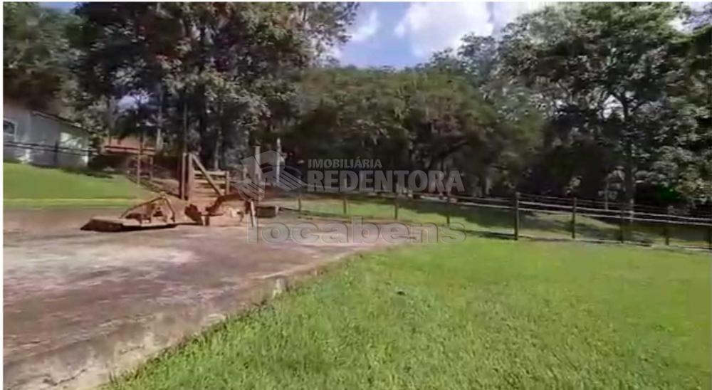 Comprar Rural / Sítio em Cedral R$ 7.300.000,00 - Foto 54