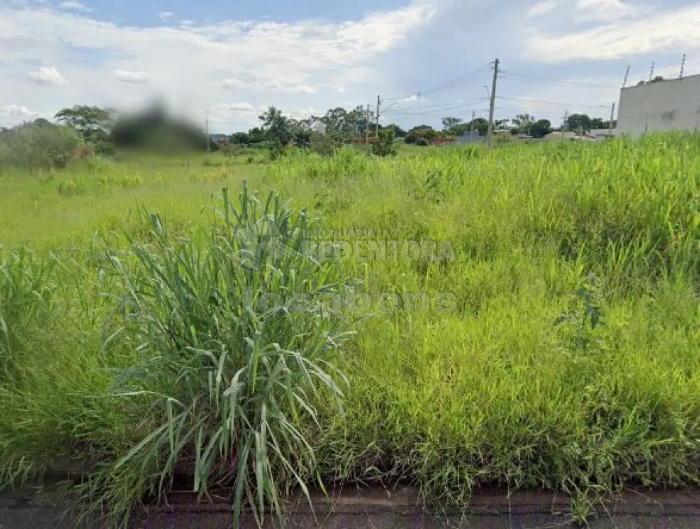 Comprar Terreno / Padrão em São José do Rio Preto R$ 85.000,00 - Foto 1