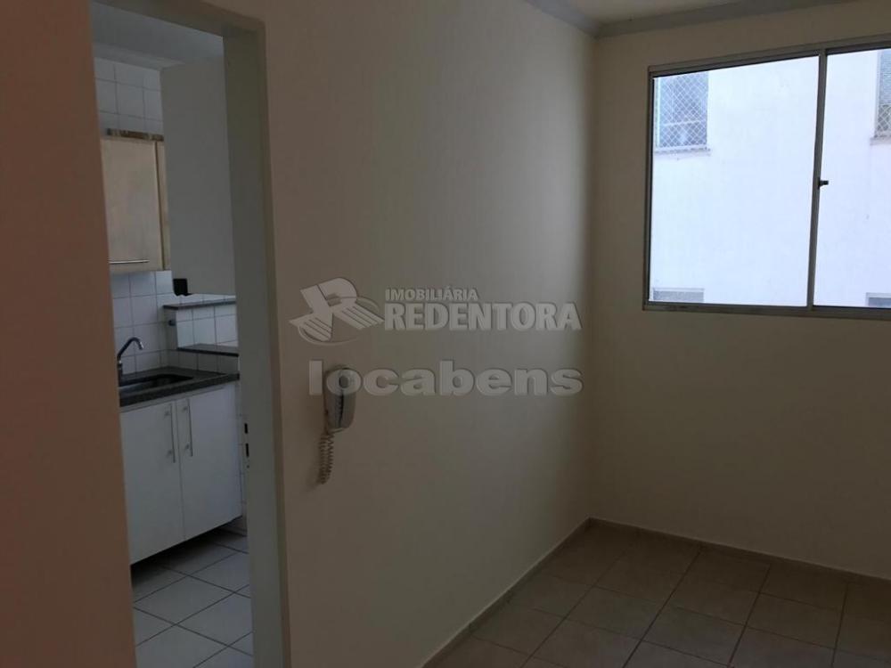 Alugar Apartamento / Padrão em São José do Rio Preto apenas R$ 650,00 - Foto 4