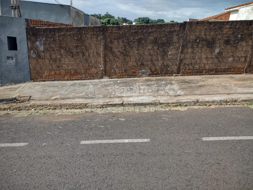 Comprar Terreno / Padrão em São José do Rio Preto apenas R$ 250.000,00 - Foto 3