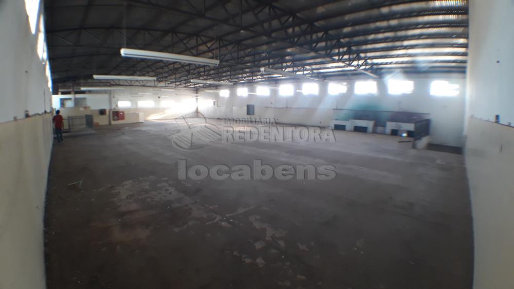 Alugar Comercial / Salão em Mirassol apenas R$ 18.000,00 - Foto 37