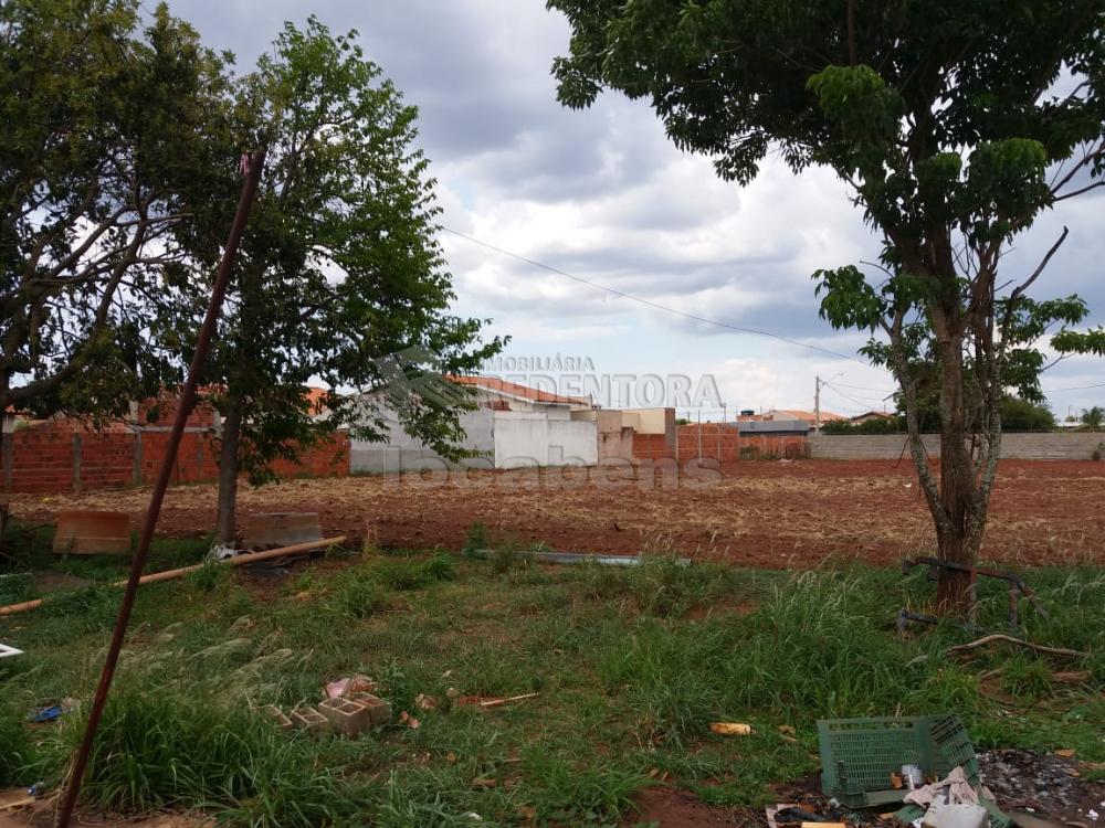 Comprar Terreno / Área em São José do Rio Preto apenas R$ 5.000.000,00 - Foto 4