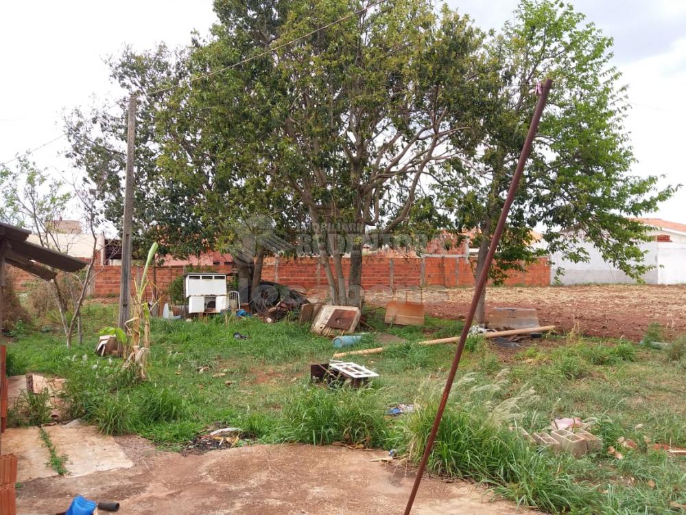 Comprar Terreno / Área em São José do Rio Preto R$ 5.000.000,00 - Foto 6