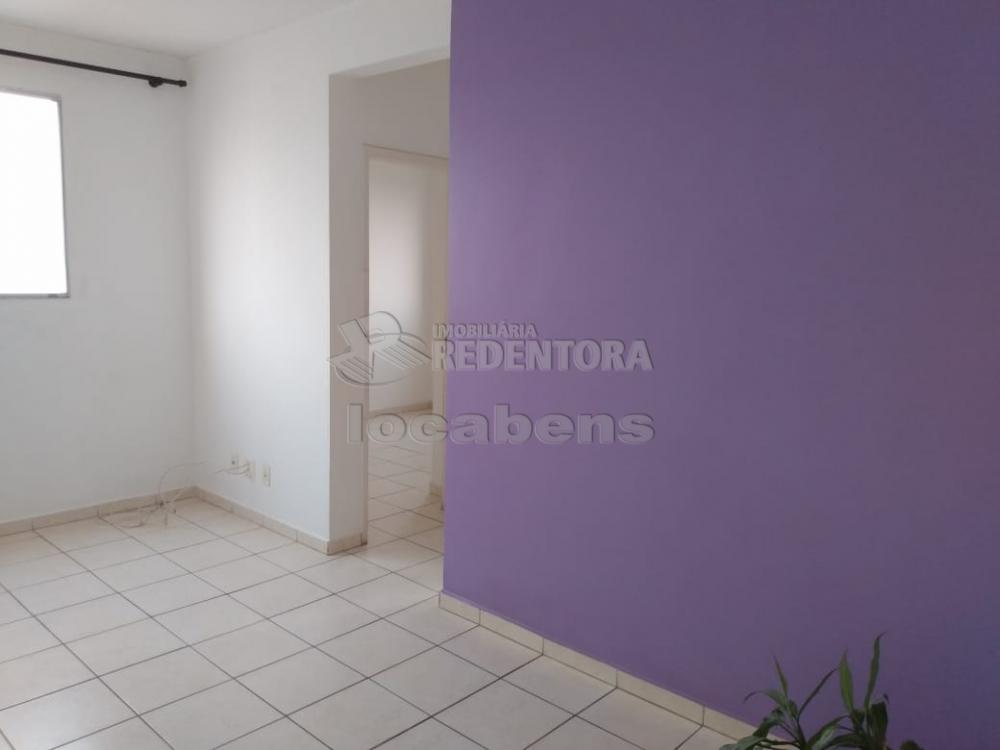 Alugar Apartamento / Padrão em São José do Rio Preto R$ 550,00 - Foto 1