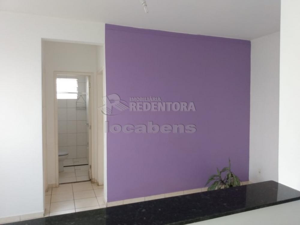 Alugar Apartamento / Padrão em São José do Rio Preto R$ 550,00 - Foto 5