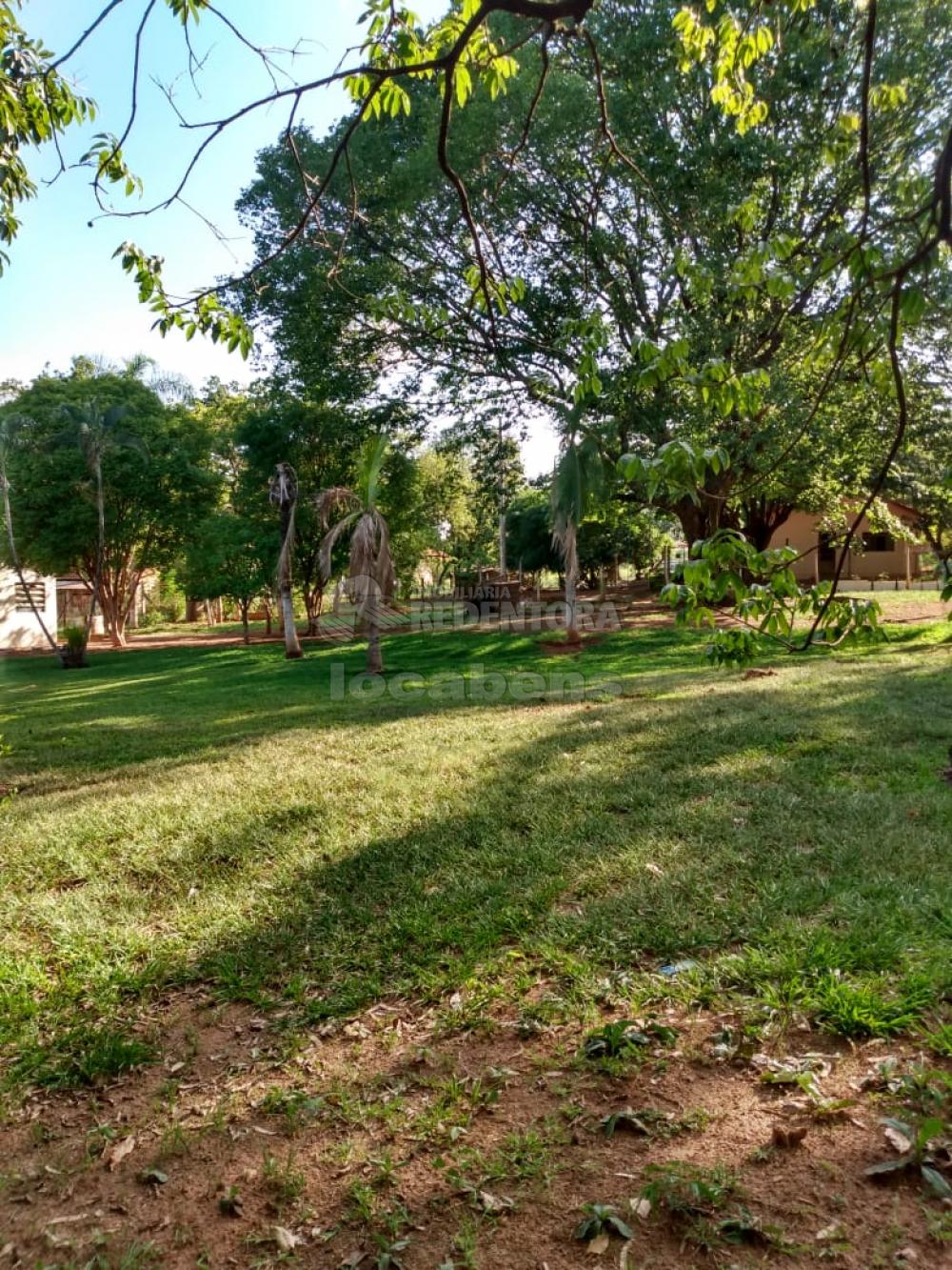 Comprar Rural / Chácara em São José do Rio Preto R$ 750.000,00 - Foto 3