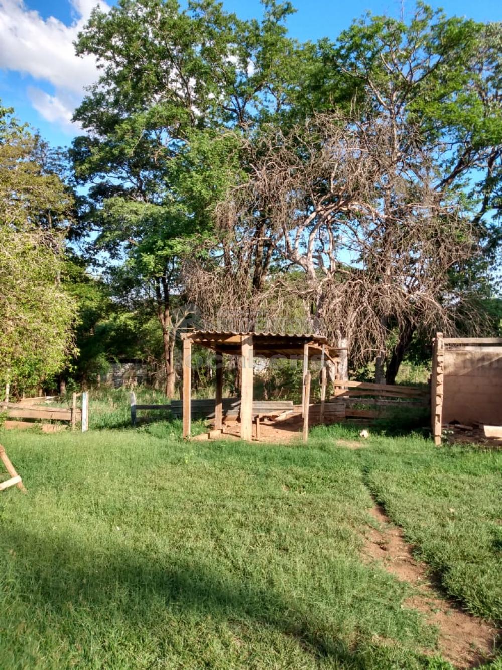 Comprar Rural / Chácara em São José do Rio Preto R$ 750.000,00 - Foto 4