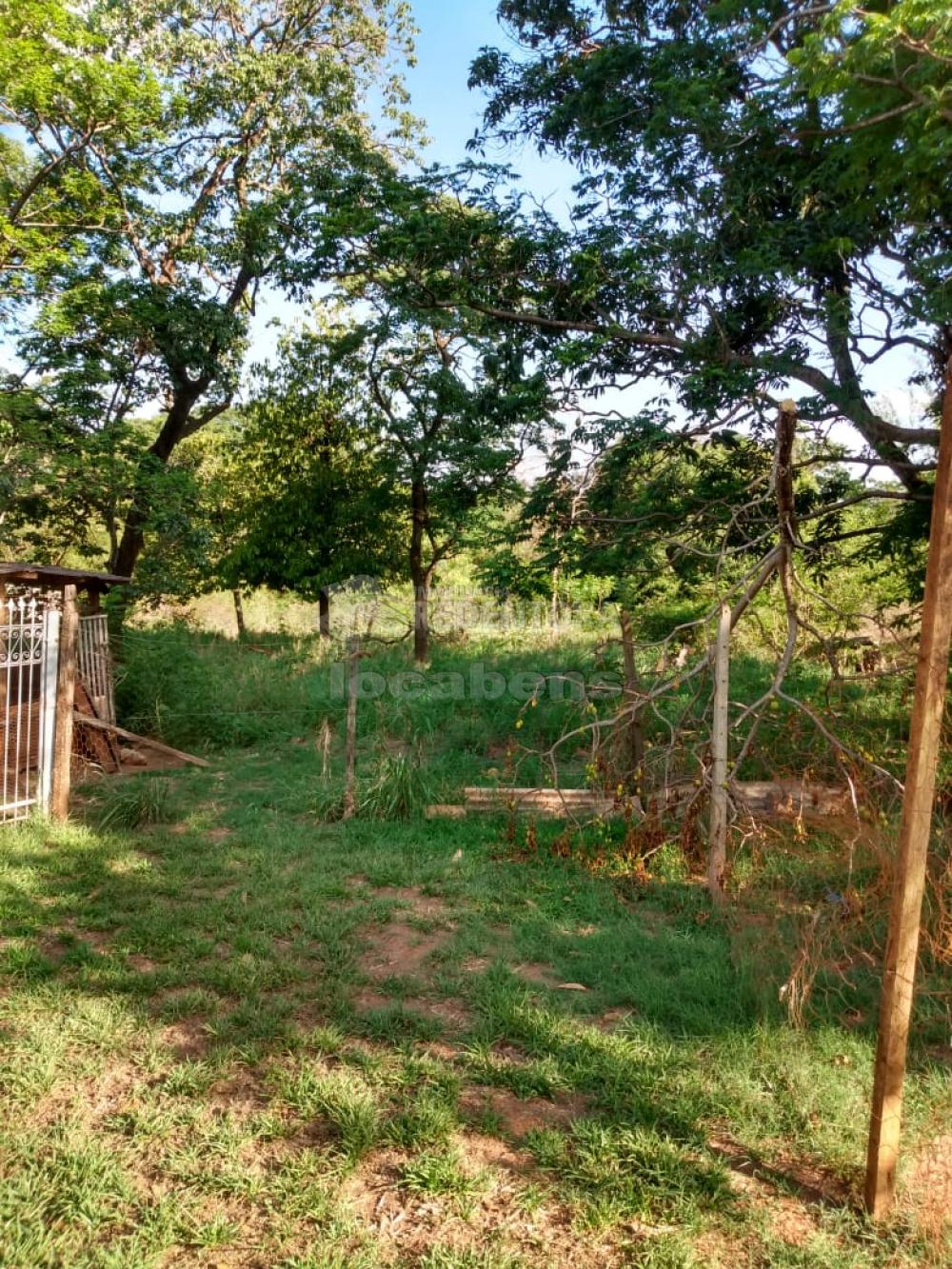 Comprar Rural / Chácara em São José do Rio Preto R$ 750.000,00 - Foto 9