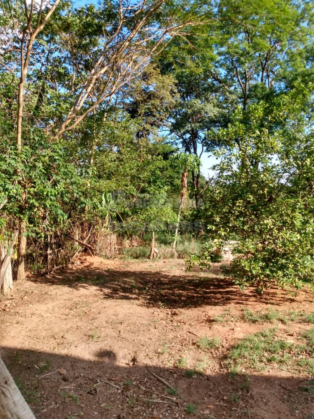 Comprar Rural / Chácara em São José do Rio Preto R$ 750.000,00 - Foto 11