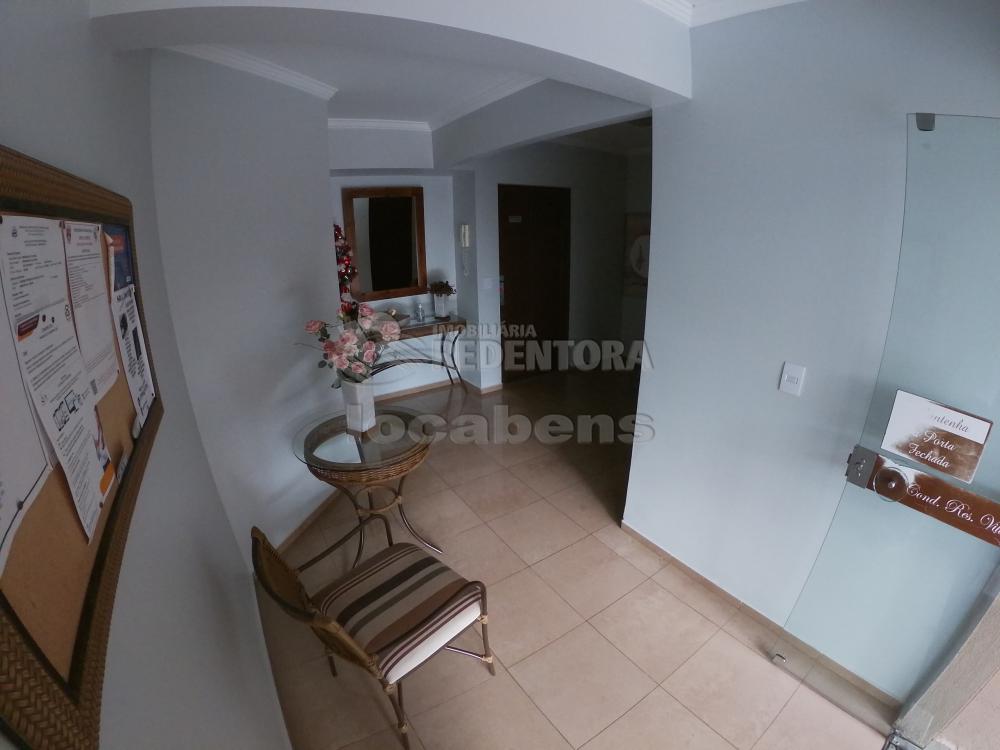 Alugar Apartamento / Padrão em São José do Rio Preto apenas R$ 1.300,00 - Foto 1