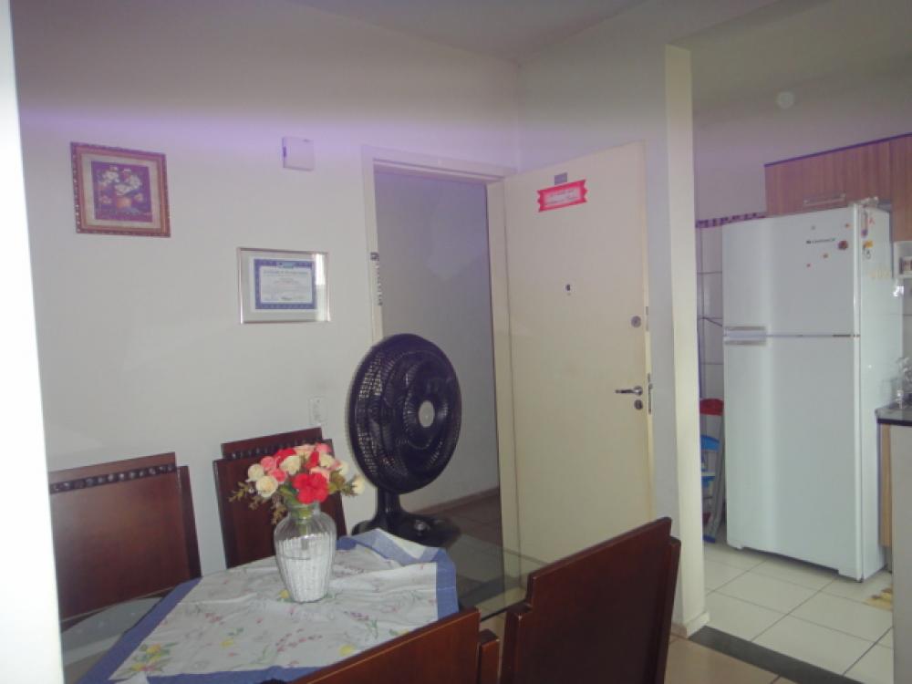 Comprar Apartamento / Padrão em São José do Rio Preto apenas R$ 180.000,00 - Foto 19