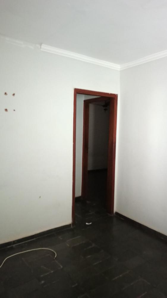 Alugar Casa / Padrão em São José do Rio Preto R$ 800,00 - Foto 14