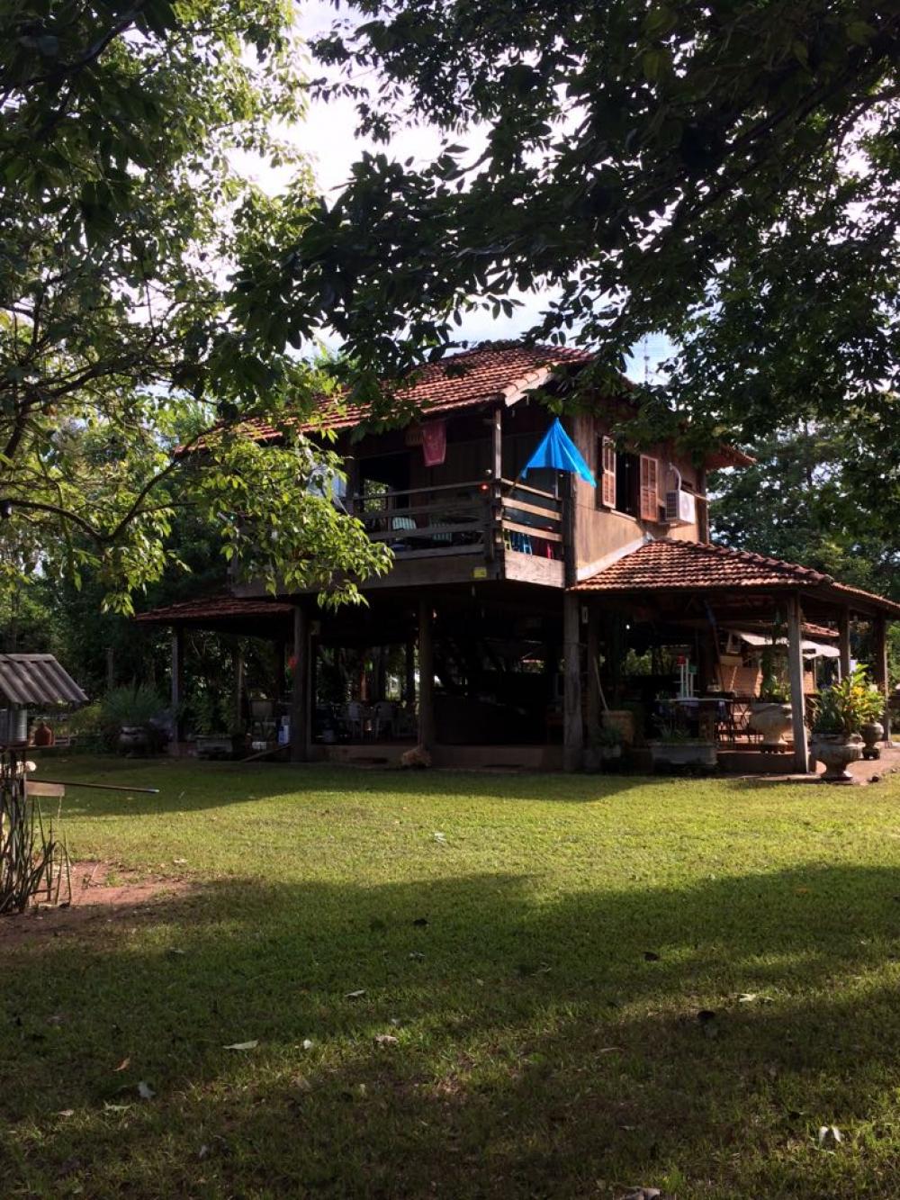 Fazenda à venda com 3 quartos, 50000m² - Foto 9