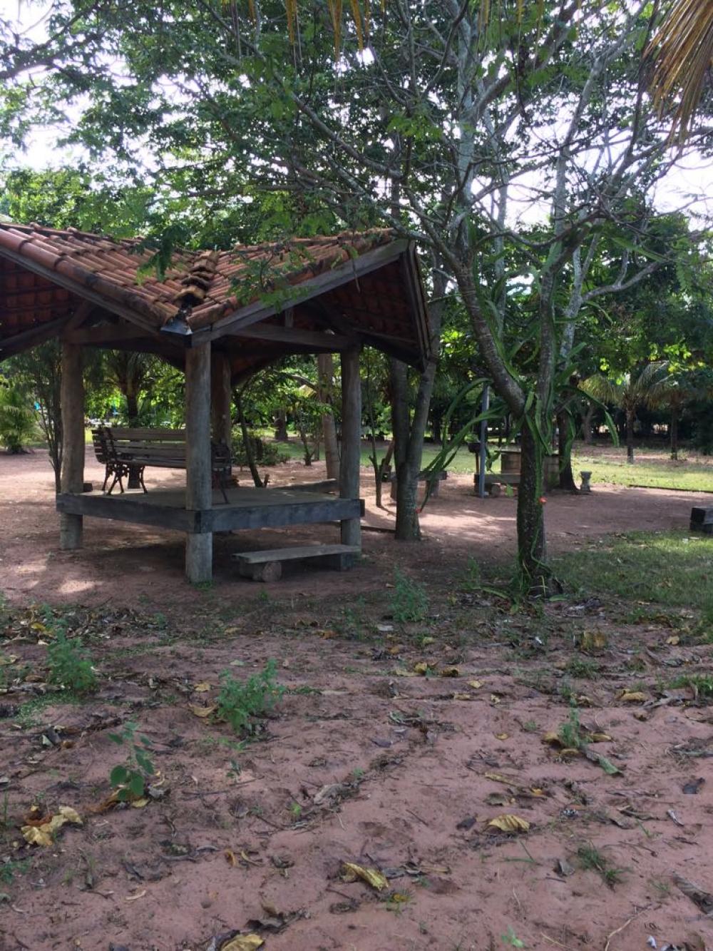 Fazenda à venda com 3 quartos, 50000m² - Foto 12