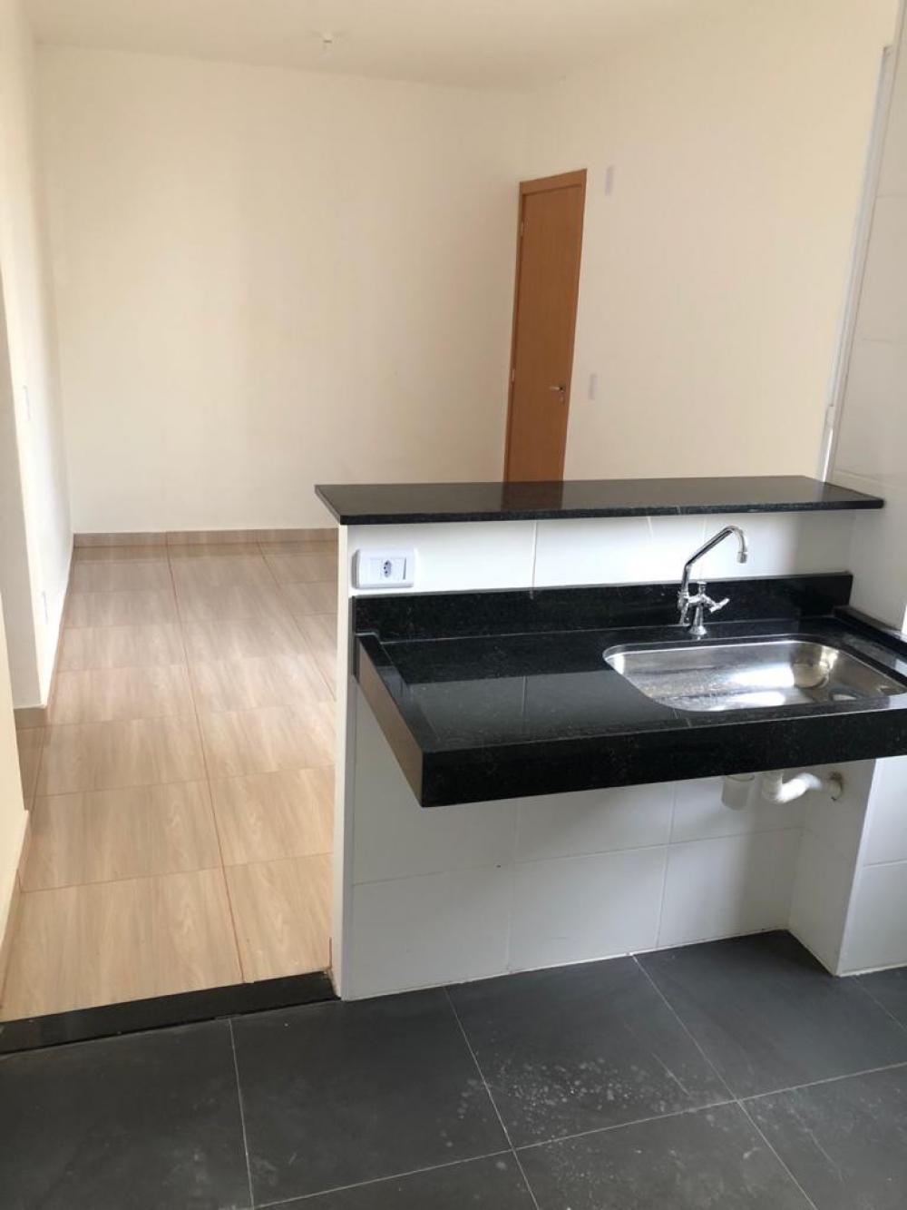 Alugar Apartamento / Padrão em São José do Rio Preto apenas R$ 500,00 - Foto 4