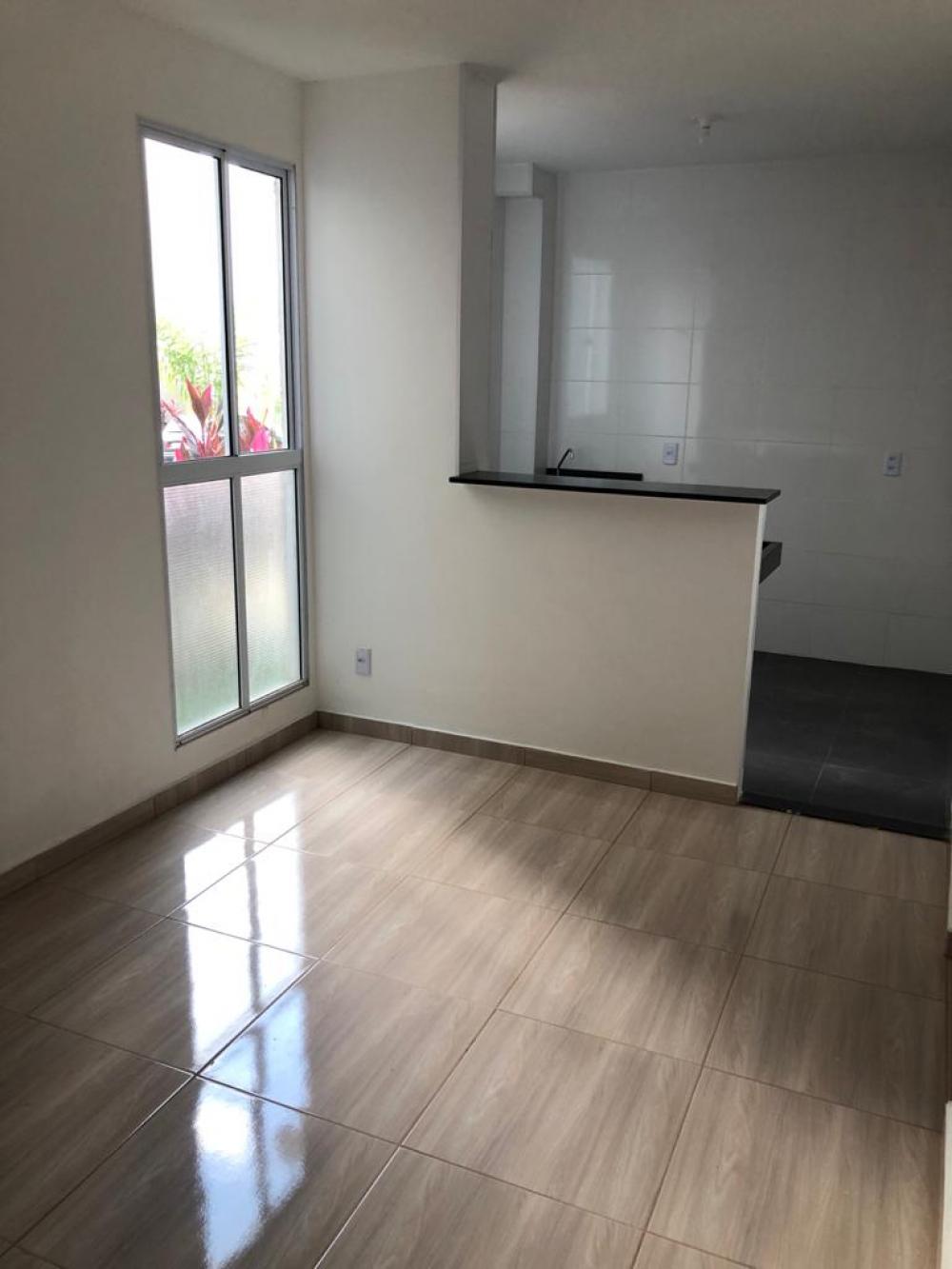 Alugar Apartamento / Padrão em São José do Rio Preto apenas R$ 500,00 - Foto 1