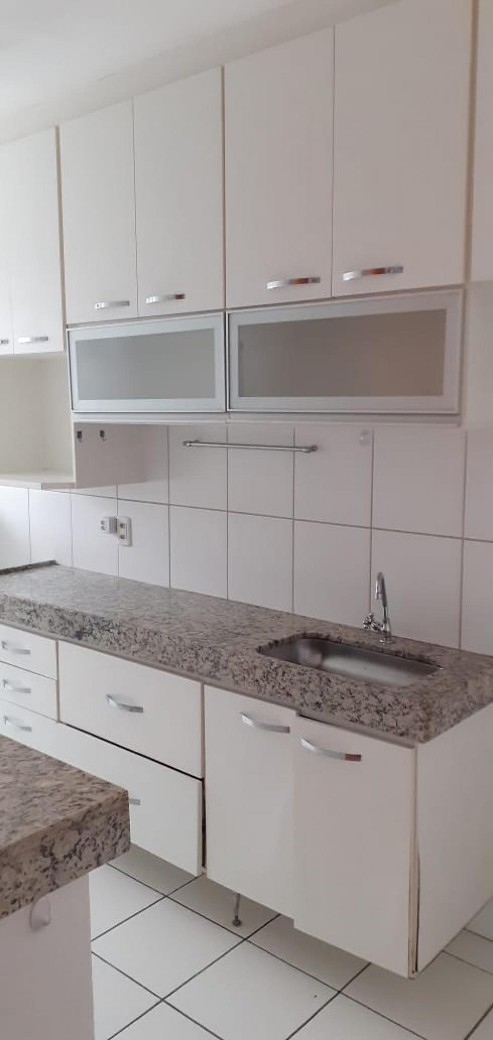 Alugar Apartamento / Cobertura em São José do Rio Preto R$ 1.300,00 - Foto 6