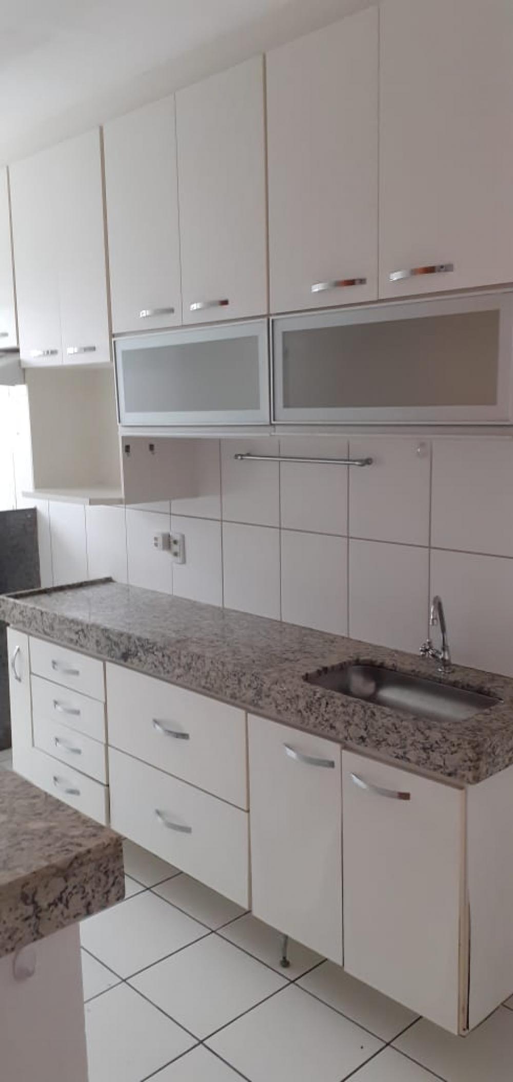 Alugar Apartamento / Cobertura em São José do Rio Preto R$ 1.300,00 - Foto 18
