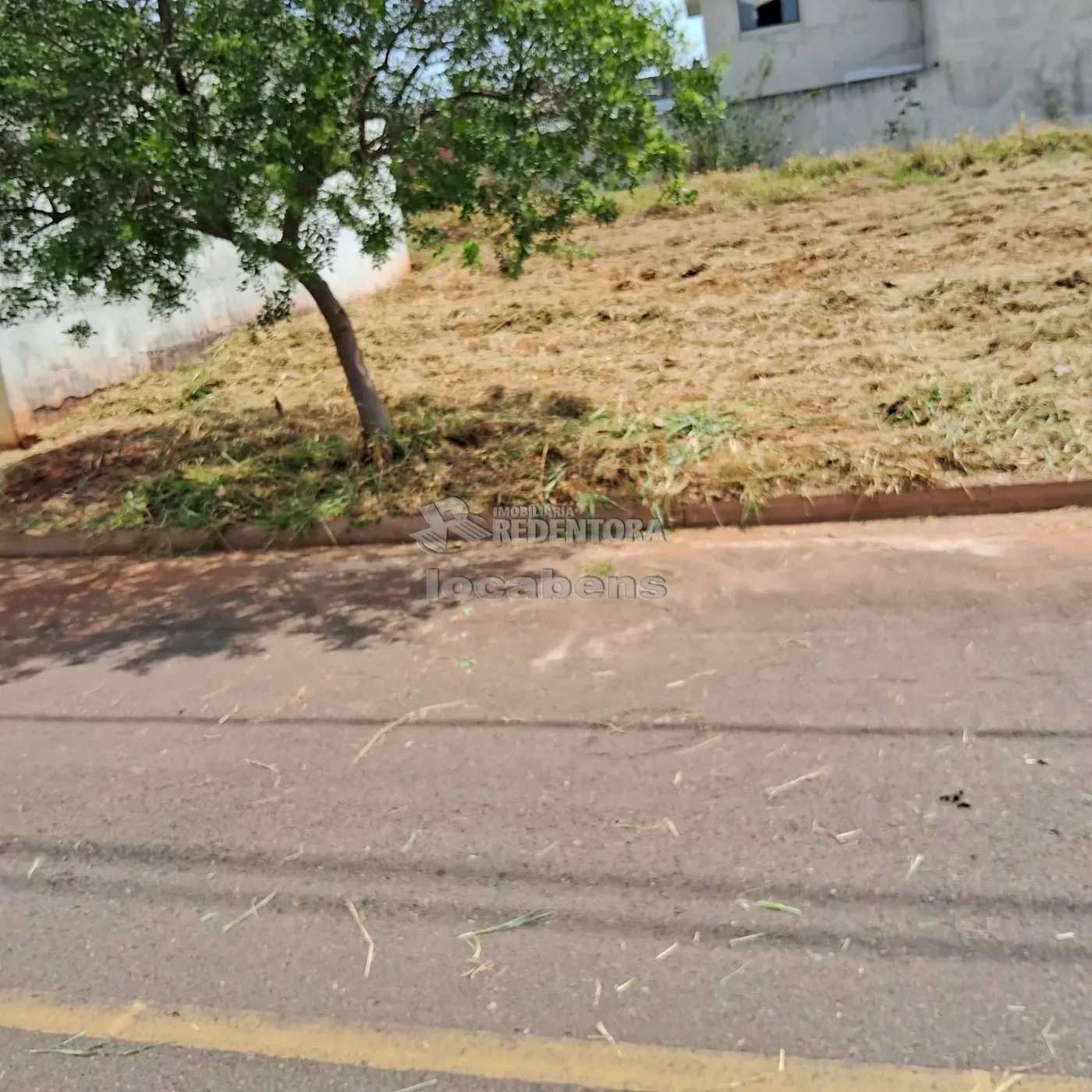 Comprar Terreno / Padrão em São José do Rio Preto apenas R$ 135.000,00 - Foto 4