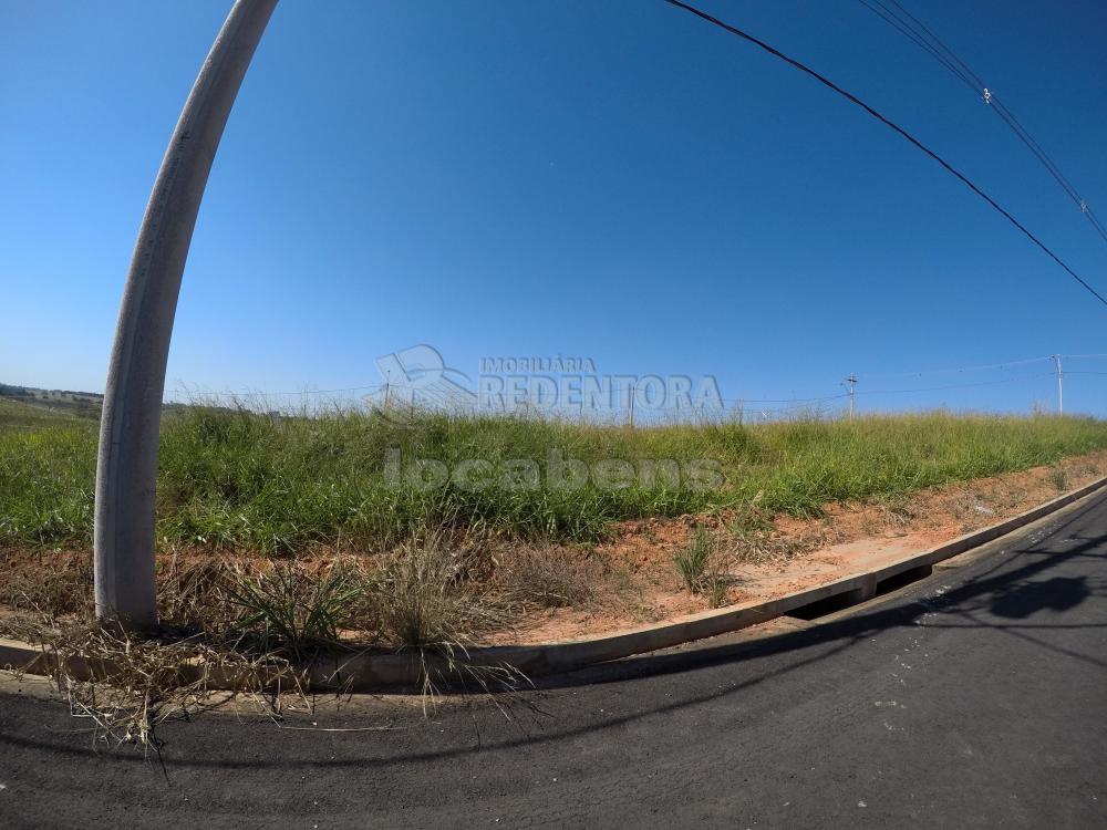 Comprar Terreno / Padrão em São José do Rio Preto R$ 117.000,00 - Foto 2