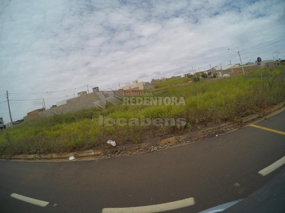 Comprar Terreno / Padrão em São José do Rio Preto R$ 222.000,00 - Foto 3