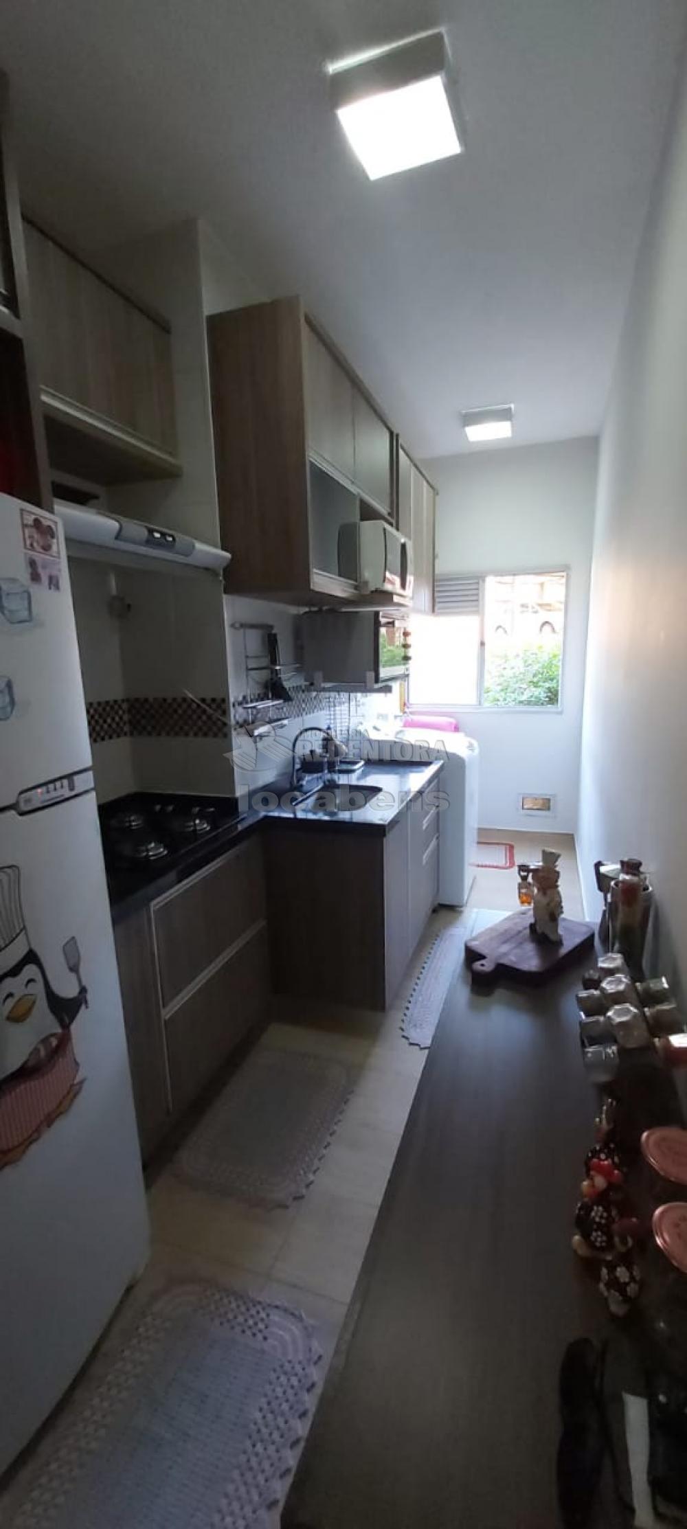 Alugar Apartamento / Padrão em São José do Rio Preto R$ 1.350,00 - Foto 5