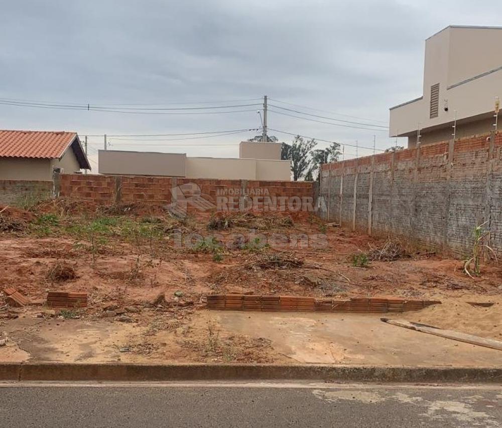 Comprar Terreno / Padrão em São José do Rio Preto R$ 85.000,00 - Foto 2